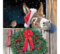 20 tovaglioli a forma di uccello e asino di Natale, asini, animali, inverno, Natale, decorazione da tavolo, feste, feste, fai da te, decoupage, tecnica dei tovaglioli, 33 x 33 cm