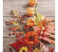 20 tovaglioli autunno frutta autunnale su foglie come decorazione da tavolo. Tovaglioli di carta con motivo. Anche per decoupage e decoupage 33 x 33 cm