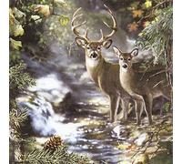 20 tovaglioli cervi on a creek - il Bach 33 x 33 cm cervi