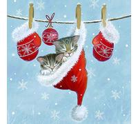 20 tovaglioli con gatti addormentati in cappello invernale | Decorazione da tavolo | Natale 33 x 33 cm