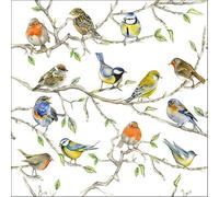 20 tovaglioli con gli uccelli canta nell'albero, con uccellini, animali, primavera, estate, decorazione da tavolo 33 x 33 cm