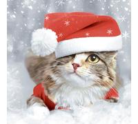 20 tovaglioli di carta con motivo di gatto sotto il cappello di Babbo Natale, decorazione da tavolo, tovaglioli di carta anche per decoupage e decoupage, 33 x 33 cm