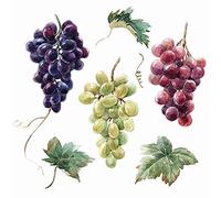 20 tovaglioli uva fresca su bianco, uva, vino, natura, decorazione da tavolo, decoupage, tecnica dei tovaglioli 33 x 33 cm