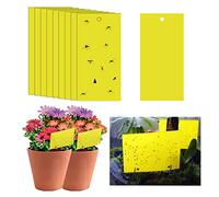 20 trappole adesive per mosche, 25 x 40 cm, adesivi di carta per mosche gialle, protezione per piante, cattura mosche appiccicose su entrambi i lati per insetti contro moscerini funghi, mosche bianche