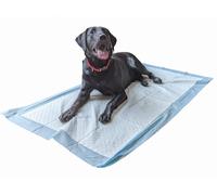 20 Traverse per Cani Misura XL 80X150Cm Grado Veterinario Super Assorbenti Fino