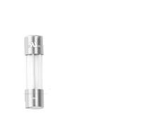 20 tubi in vetro da 5 x 20 mm, 5 x 20 mm, 0,5 A, 1 A, 2 A, 3 A, 4 A, 5 A, 6 A, 6,3 A, 8 A, 10 A, 12 A, 15 A, 250 V, 125 V, 12 V, Cutoff Fusee (Fast Blow,2 A)