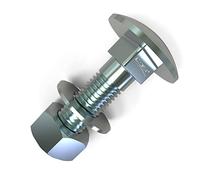 20 viti a testa tonda M5 x 25 + dadi e dischi a U, lunghezza 20 - 80 mm, selezione: 20 x M5 x 25