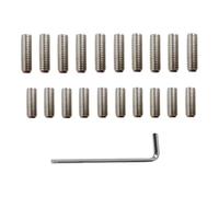 20 Viti per ponte per selle per chitarra elettrica Viti per regolazione altezza per selle per ponte in acciaio inossidabile con chiave Viti per regolazione altezza in acciaio inossidabile