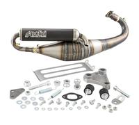 MARMITTA POLINI EVOLUTION 11 PIAGGIO TYPHOON 50 2001 2002 2003 2004 2005 2006