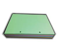 200 Fogli colorati (50x4 col.) 90 gr. - Ricambio con 2 fori - Formato A5 14,5 x 20,5 cm DIN A5 per Oganizer con 2 anelli