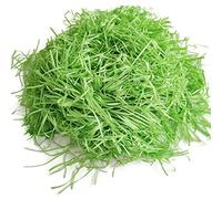 200 g di erba pasquale verde, materiale di riempimento per cestino di Pasqua/cesto regalo, decorazione pasquale
