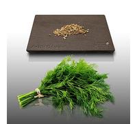 200 graines Aromatiques à semer - Le Grenier d'Abondance - ANETH - Anethum graveolens