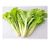 200 kleine Kohemüsesamen Seeds ONLY