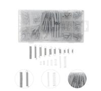 200 pcs Assortimento Spring Spiral Spring Galvanized Set Rate Retension