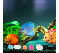 200 Pcs Sassolini Decorativi Ciottoli Ghiaia Per Acquario D'acqua Pietre