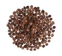 200 Pezzi Mini Pigne Naturali del Ringraziamento, Ornamenti per la Decorazione Domestica, Artigianato Fai da Te Albero di Natale, Autunno Inverno