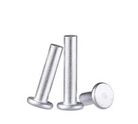 200 Pezzi Rivetti In Alluminio A Testa Piatta Rivetti Rotondi Solidi Rivetti Auto-inseribili Chiodi Rivetti A Battuta(8mm)
