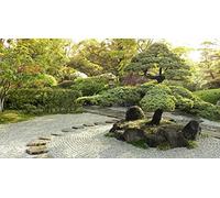 200 Words Every Japanese Beginner Must Know