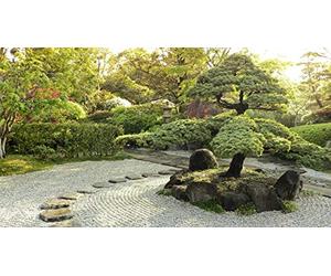 200 Words Every Japanese Beginner Must Know