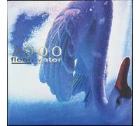 2000: in search of the...