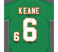 2000 Irlanda Home Name Set Roy Keane #6 Velvet Heat Transfer Patch Kit