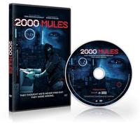 2000 Mules DVD by D'Souza Media New Version with Menu Selections and Subtitles - Deluxe Edition