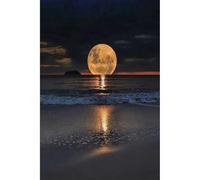 2000 pezzi (100x70cm) puzzle per adulti, luna notte marea suono luna puzzle, giocattoli puzzle sfida intellettuale per adolescenti e bambiniNumero