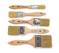 2000 Set 5 Pennelli Pittura Professionali Pennellessa Universale Indicato per