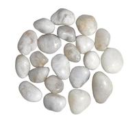 2000g Ciottoli Decorativi Giardino, 4-6 cm Pietre Decorative per Vasi Piccole, Sassolini Decorativi per Acquario Ciottoli Lucidati Naturali per Paesaggistica Vasi Piante Grasse (Bianco, 4-6 cm)