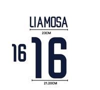 2002 USA Home Name Set Carlos Llamosa #16 Heat Transfer Patch Custom Fan Kit