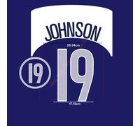2004 USA Away Name Set Johnson #19 Heat Transfer Patch Fan Made Soccer Iron-on
