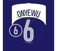 2004 USA Away Name Set Onyewu #6 Heat Transfer Patch Fan Made Soccer Iron-on