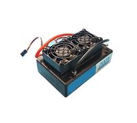 200A Bidirectional Brushed ESC, 12-33V (2S-7S), High Power with Dual Protection for Trawl Boat & Motor