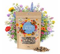 200g Semi di prato di farfalla per un prato di fiori colorati ricco di nettare