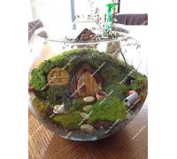 200pcs Interesting moss seeds Cute Moss Ball Decorative Grass Seeds Ornamental-plant DIY Home Garden Plant 8:Seeds Only