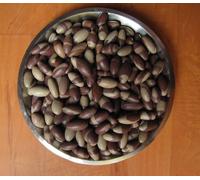 201 Pcs Naturale Narmada Linga Shiva Pietre per Puja Meditazione Curative Casa
