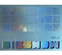 2010 bigbang concert live album [big show]