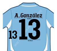 2010 Uruguay Home Name Set A. Gonzalez #13 Heat Transfer Patch Fan Made Cup Styl