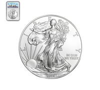 2014 US Eagle Moneta commemorativa placcata in argento raffigurante la Statua della Libertà degli Stati Uniti, 1 oz, non circolata, Silver Eagles 2014 (1 pezzo)