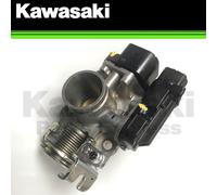 2017 - 2019 Originale Kawasaki Z-125 Pro Valvola Corpo Montaggio Nuovo