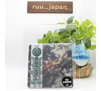 Pink Floyd - Obscured By Clouds