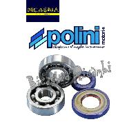 2018 - KIT CUSCINETTI E PARAOLIO CONO 20 POLINI VESPA 50 125 PK XL FL FL2 HP
