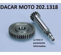 202.1318 INGRANAGGIO PRIMARIO ALLUMINIO POLINI MBK : ACTIVE 50 - SORRISO 50