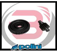 202.1360 RAPPORTI SECONDARI POLINI ALLUNGATI Z.16/47 Ø 17 SCOOTER ZIP SFERA