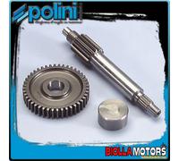 202.1370 INGRANAGGI RAPPORTI PRIMARI POLINI Z 13/44 MBK MACH 50 G