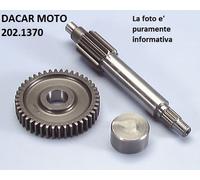 202.1370 INGRANAGGIO PRIMARIO ALL. POLINI MALAGUTI : CENTRO 50 SL