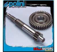 INGRAN.RAPP.PRIMARIO PIAGGIO Z13-40