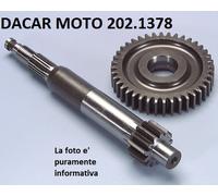 202.1378 INGRANAGGIO PRIMARIO ALL. MOD.99 POLINI PIAGGIO : EXTREM - EXTREM LC
