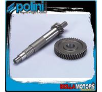 202.1389 INGRANAGGI RAPPORTI PRIMARI POLINI Z 17/44 PIAGGIO X 7 125 08/09
