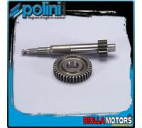 202.1392 INGRANAGGI PRIMARI PIAGGIO ZIP SP MOD.2000 Z=16/37